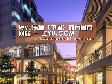 案例展示一(图1)