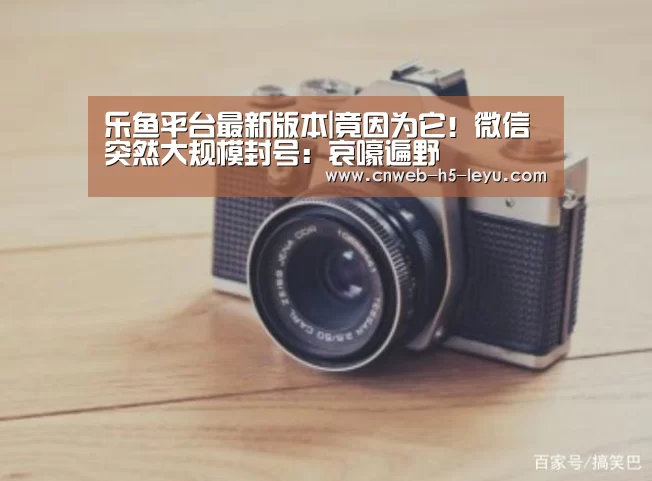 乐鱼平台最新版本|竟因为它!微信突然大规模封号:哀嚎遍野(图2) 乐鱼平台最新版本