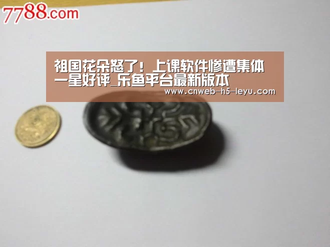 乐鱼平台最新版本