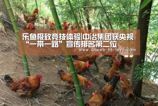 乐鱼极致竞技体验