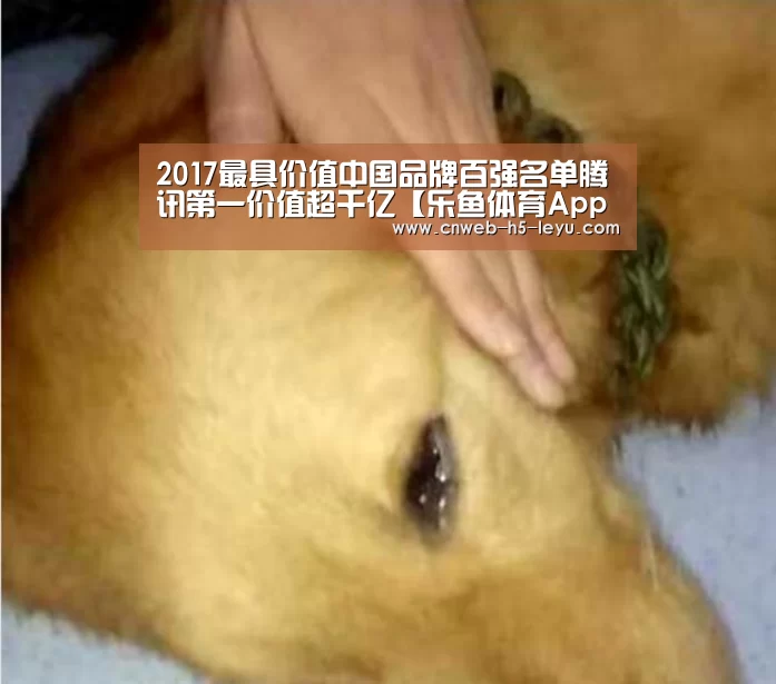 乐鱼体育App下载