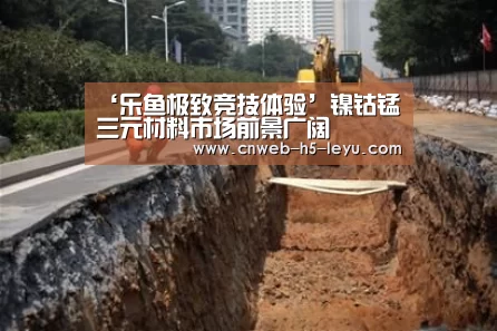 乐鱼极致竞技体验