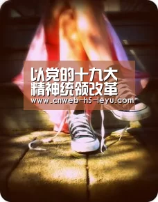 以党的十九大精神统领改革发展——有色协会举办十九大精神辅导报告会“乐鱼平台最新版本”(图2) 乐鱼体育App下载